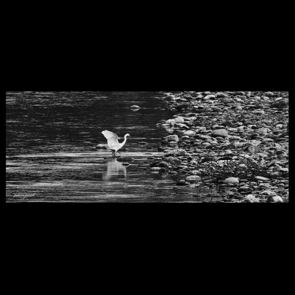 PHOTO84, CLUB, 84 , LUBERON